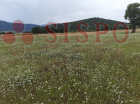 NORCIA (PG) A POCHI KM DALLA STRADA PROVINCIALE 478
